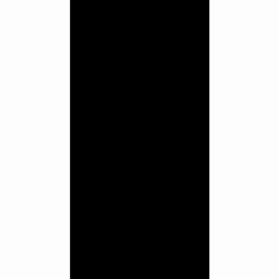 BHW-0029 ������������ BASCONI HOME Super Black 600x1200x10 polished 