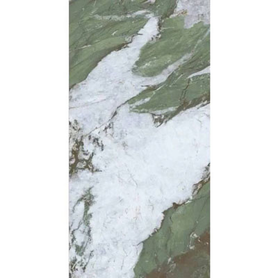 BHW-0046 ������������ BASCONI HOME Jungle stone 600x1200x8 full body polished (multicolor) 