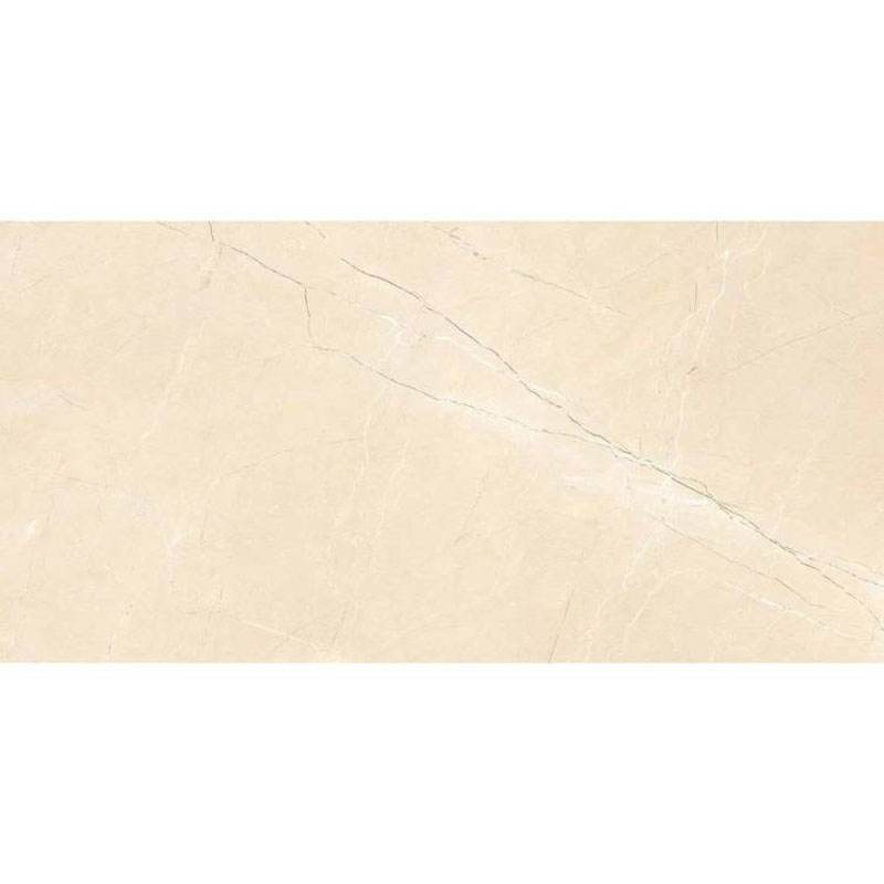 ENSTN1045MT60120 �������� ���� MATT 