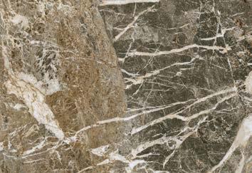 610010002967 F.d.M.Quark Breccia di Car. Rett 80x80 - �.�.�.����� ������ �� ���. ��� 80�80