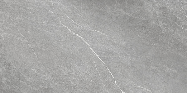010400000486 Abremo grey PG 01 600�1200 (1-� ����) 