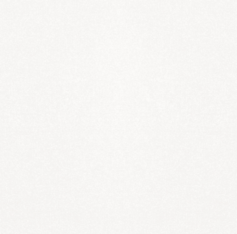 010400000671 Monocolor sugar white PG 01 450�450 (1-� ����) 
