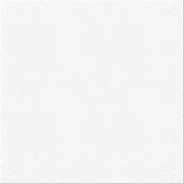 010400001051 Monocolor sugar white PG 01 600�600 (1-� ����) 