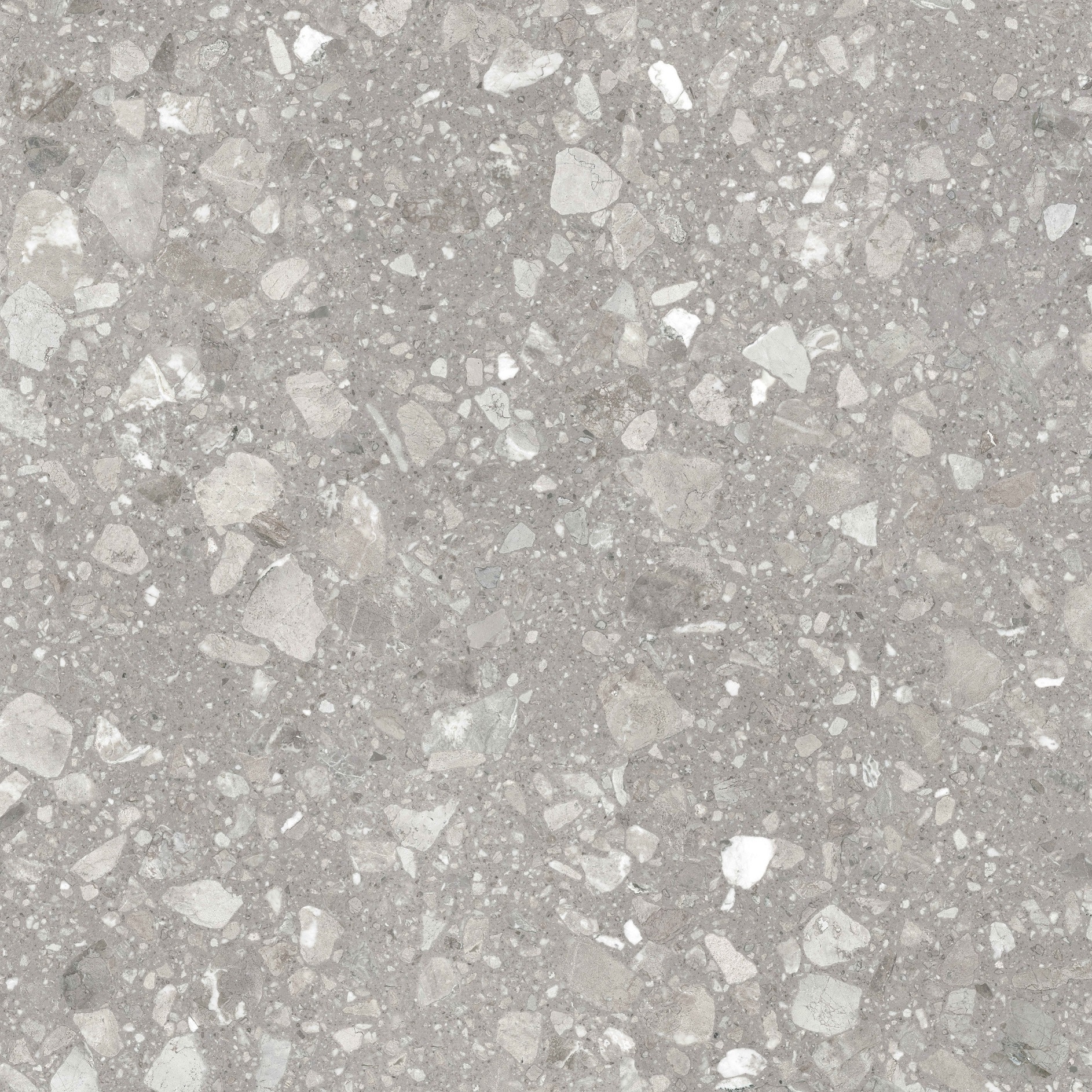 010400001053 Terrazzo matt grey PG 01 600�600 (1-� ����) 