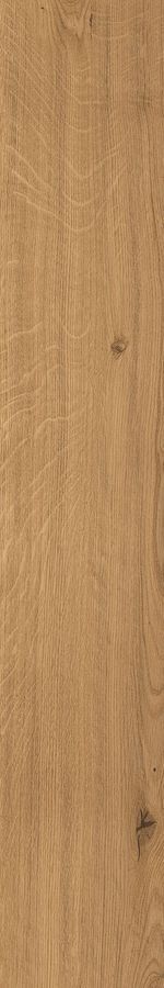 AX4J Log Amber Oak Forest 20x120Grip