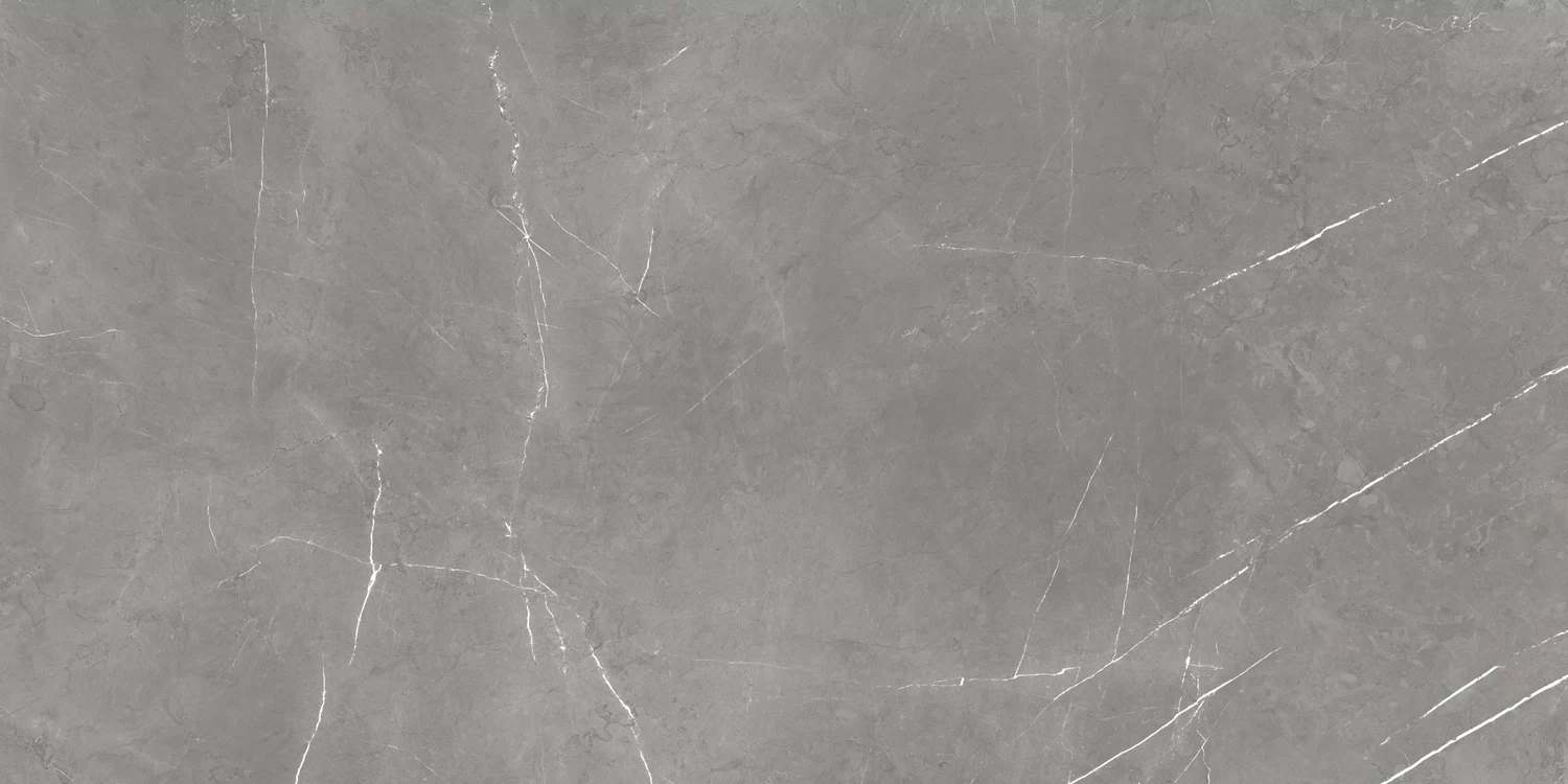 610015000657 F d M Elegant G Rett 60x120 Cer - � � � ������� � ��� 60x120 ���