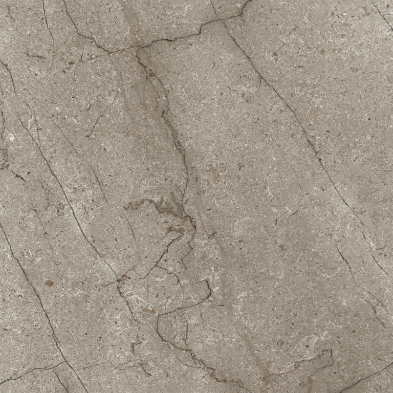 010400001254 Ground brown PG 01 450�450 (1-� ����) 