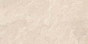 K958169R0001VTER ������ 60X120 ������������� ���� ������� R10A 