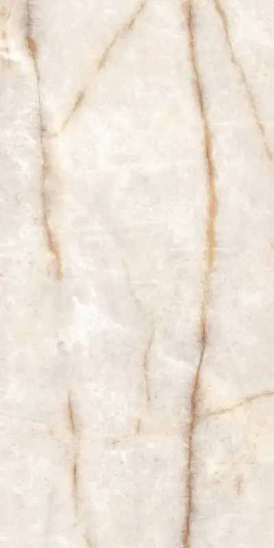 610010002834 .. 60X120  