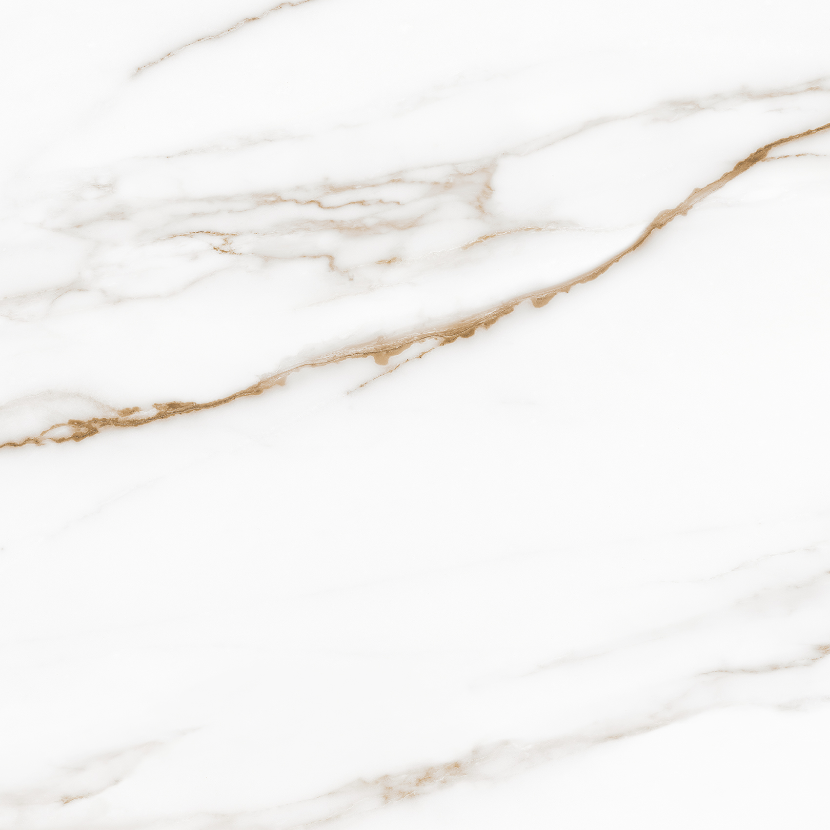 010400001244 Royal white PG 01 450�450 (1-� ����) 