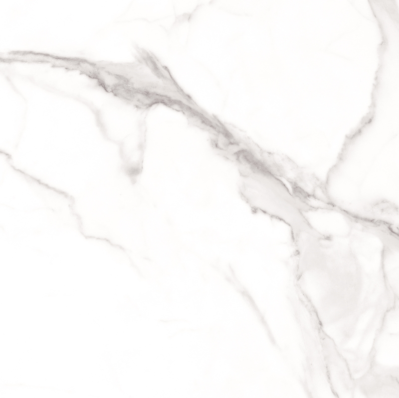 010400000673 Carrara grey PG 01 450�450 (1-� ����) 