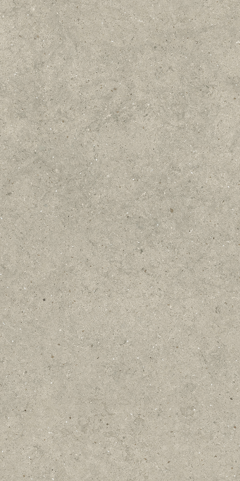 610010004170 FORUM STONE DESERT 60x120 