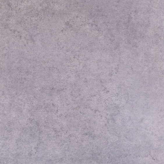 010404001939 Diamond grey PG 01 600�600 (1-� ����) 