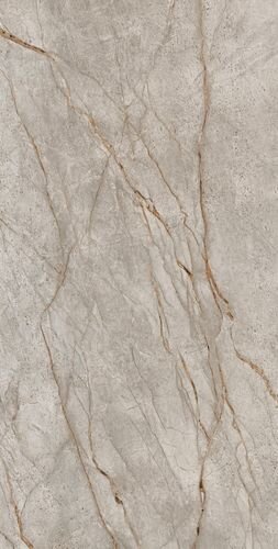 610010002173 Empire Silver Root Rett 80x160 - ������ ������� ��� ��� 80x160