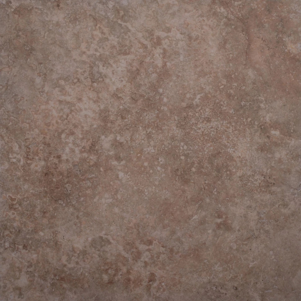010404001740 Soul light beige PG 03 v2 450�450 (1-� ����) 