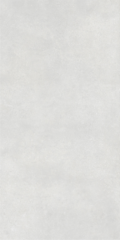 010400001204 Beton grey PG 01 600�1200 (1-� ����) 