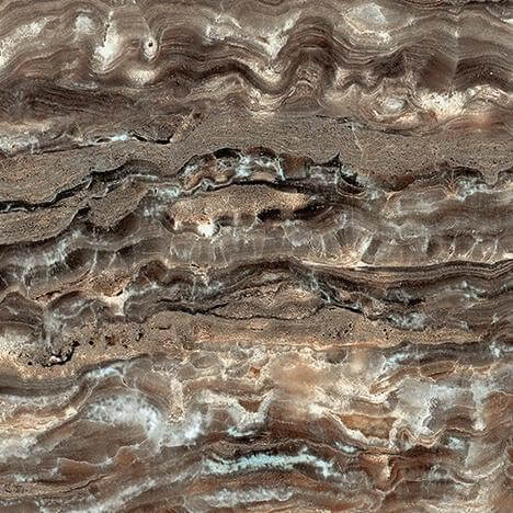 610090002328 Epos Grey Bottone Lap - ���� ���� ������� ���