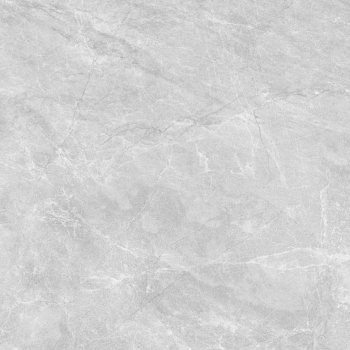 010400001111 Cameo grey PG 01 450�450 (1-� ����) 