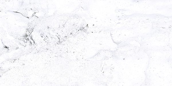 010400000739 Inverno Premium white PG 01 600�1200 (1-� ����) 