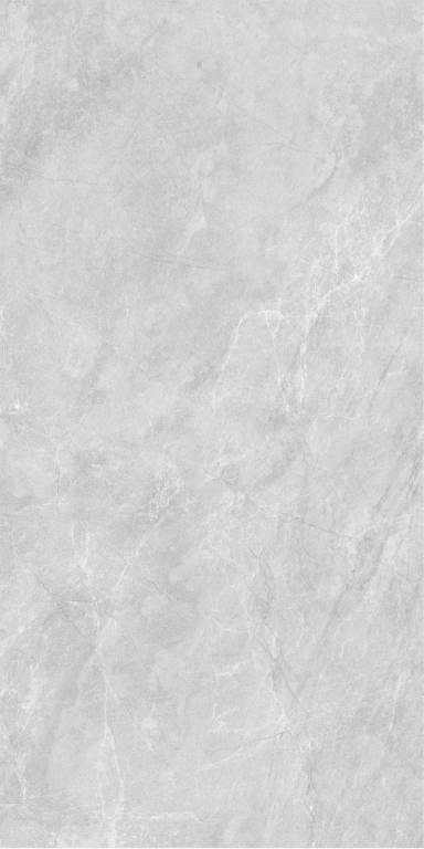010400001230 Super stone grey PG 01 600�1200 (1-� ����) 